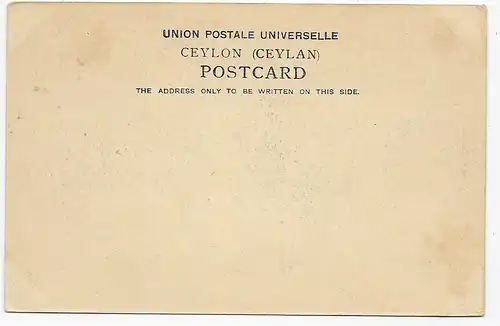 picture post card Ceylon Ginricksha