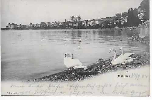 Ansichtskarte Montreux nach Wiesbaden, 1904