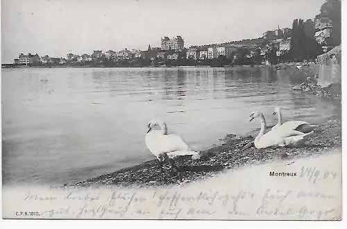 Carte de Montreux d'après Wiesbaden, 1904