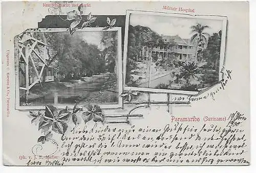 Carte visuelle - Picture post card Paramaribo vers Gelnhausen, 1900
