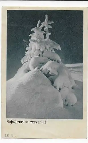 Postkarte Tarnow mit Zensur nach Posen, 1945