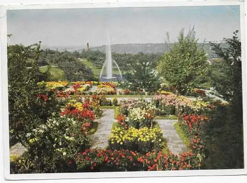 Ansichtskarte Blumenmeer bei der Gaststätte Stuttgart Killesberg, Messe 1953