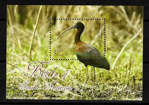 Braunsichler-Briefmarken Block -- Südamerikanischer Vogel