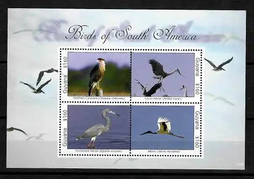 Vögel-Briefmarken Block -- Jabiru, Heron, Caracara, Südamerika