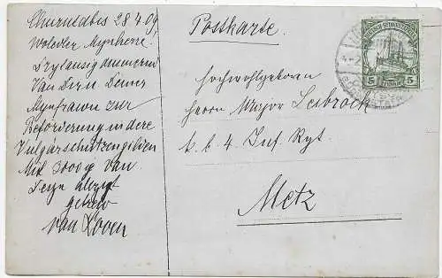 DSWA: Foto-Postkarte Kaktusgewächs 1909 nach Metz, Inf. Reg.