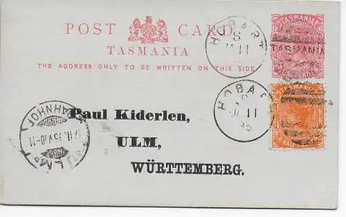 picture post card Tasmania Hobart 1895 to Ulm