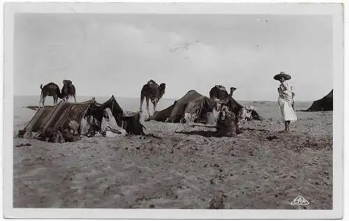 Foto-card Nomades: Postagent Amsterdam 1936 to Dresden, Schiffspost