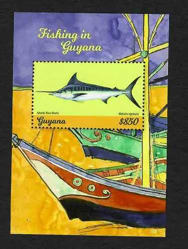 Guyana: Fishing in Guyana: Atlantic blue Marlin, Makaira nigricans, mnh