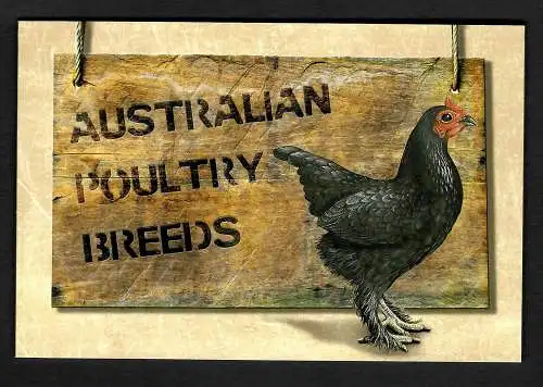 Australien: Poultry Breeds, Gflügelzucht, Markenheftchen mit viel Bildern etc.