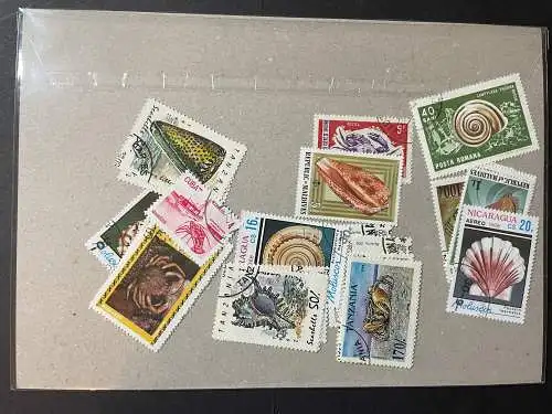 50 verschiedene Schalentiere Briefmarken 50 different Shellfish stamps