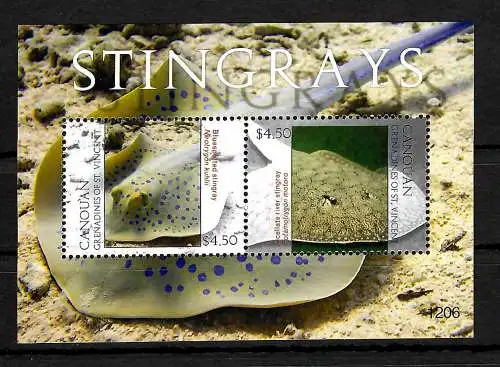 St. Vincent&The Grenadines: Stechrochen, Stingrays, Block