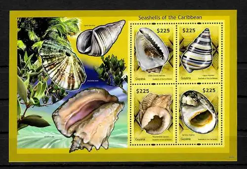 Guyana: 4x Muscheln Briefmarken im Block, postfrisch