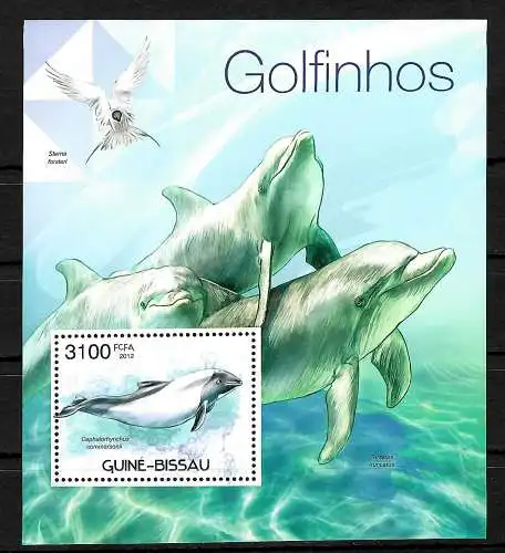 Guinée-Bissau: Golfinhos, dauphins, bloc frais, **