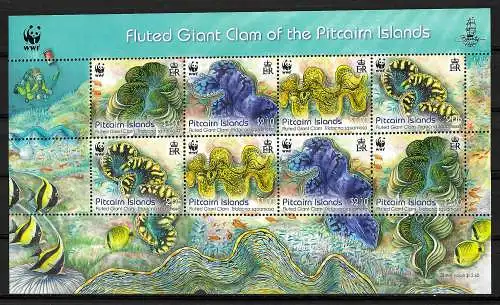 Pitcairn Islands: Nature mondiale, grande coquille, #865-868 post-fraîchissement