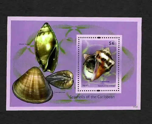 Nevis: Sea-Shells of the Caribbean 2, mollusques bivalves, frais du courrier **