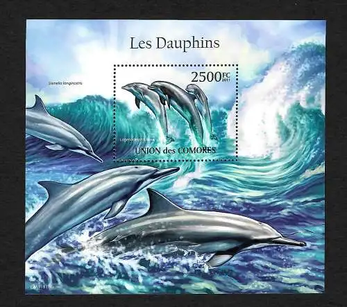 Comores: Les Dauphins, Dalphine, ** post-fraîchissement