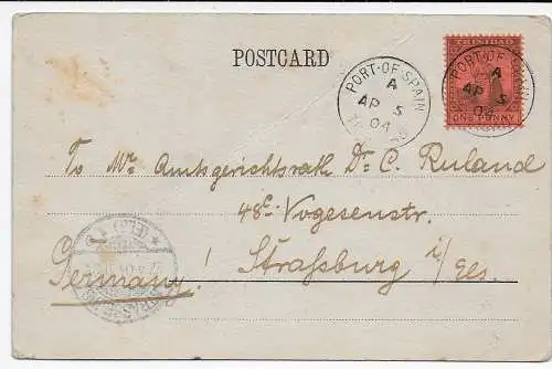 Trinidad: Port of Spain 1904, picture post card to Strasbourg