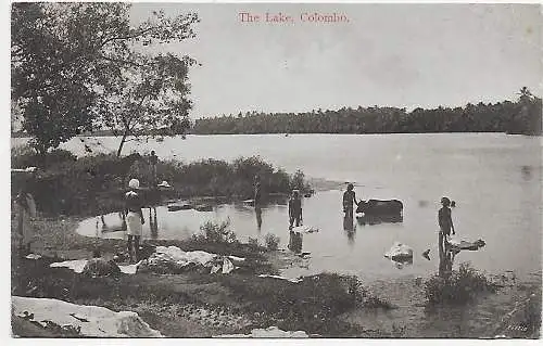 Ceylon: picture post card Colombo to France, 1910