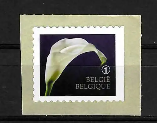 Belgien: Calla - Trauerbriefmarke 2013, postfrisch, #4414