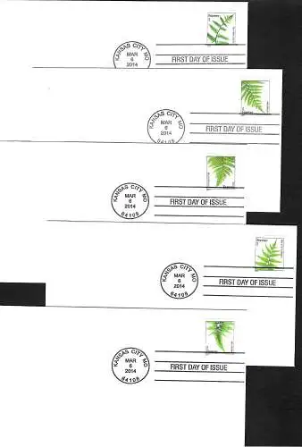 USA: Farne - Ferns- auf 6x FDC, 2014