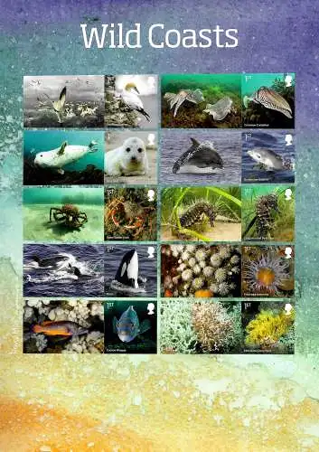 GB:  Wild coasts, 10 1st stamps, big sheet, Orca, Seal, Dolphin, Seahorse, ...