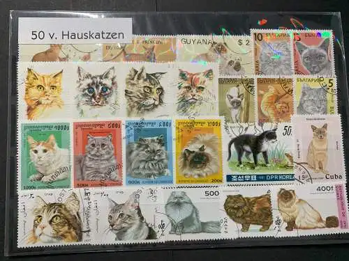 50 verschiedene Hauskatzen, 50 different cats stamps