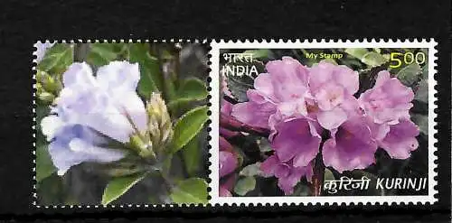 Indien: Blumen Kurinji - my stamp, postfrisch