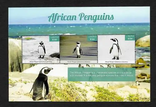 Liberia: African Penguins, Pinguine, Block postfrisch