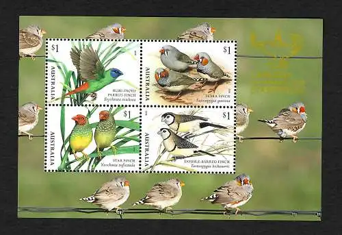 Australien 2018: Vögel: Parrot, Zebra Finch, Star Finch, Double Barred Finch **