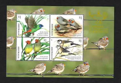 Australien 2018: Vögel: Parrot, Zebra Finch, Star Finch, Double Barred Finch **