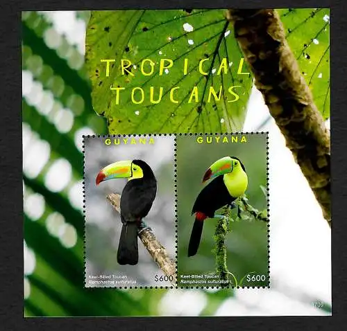 Guyana: Tropical Toucans, Vögel, Block postfrisch