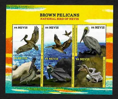 Nevis: Brown Pelicans, National Bird of Nevis, Pelikan, Block postfrisch