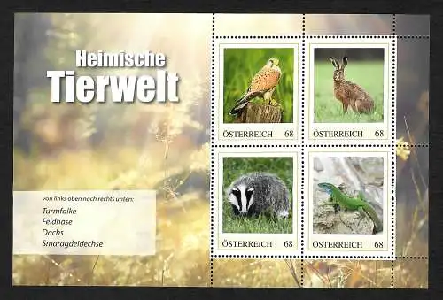 Österreich: Heimische Tierwelt: Turmfalke, Feldhase, Dachs, Eidechse, postfrisch