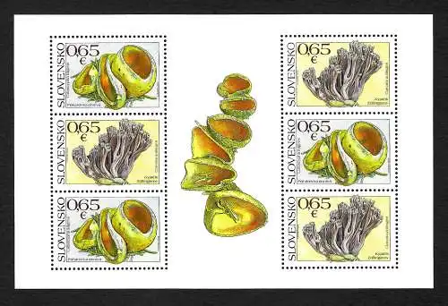 Slowakei 2017: Naturschutz: Pilze, postfrisch