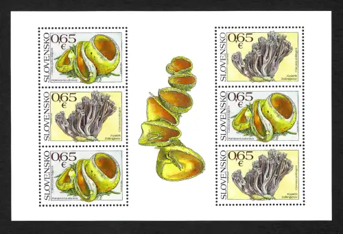 Slowakei 2017: Naturschutz: Pilze, postfrisch