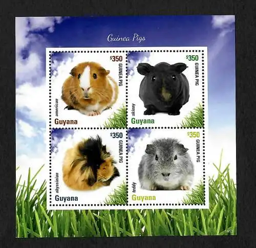 Guyana: Guyana Pigs, Meerschweinchen, postfrisch