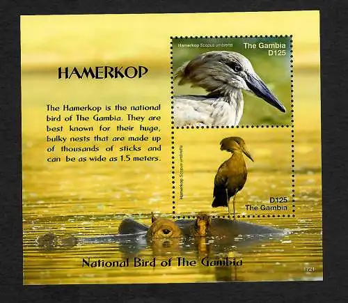 Gambia: Nationalvogel Hammerkopf, Hamerkop,  postfrisch