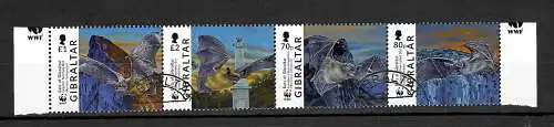 Gibraltar: Fledermäuse, Bent-winged Bat, gestempelt