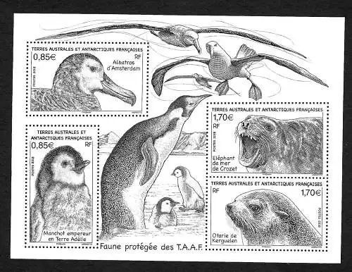 TAAF: Faune protégé des TAAF, Otarie, Eléphant, Manchot, Albatros, postfrisch