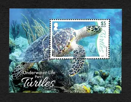 British Virgin Islands 2017: Underwater Live, Part I, Turtles, Schildkröten, mnh