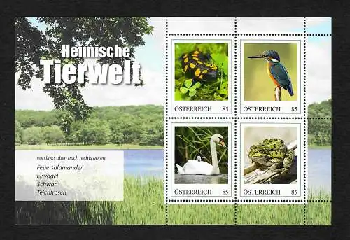 Österreich: Heimische Tierwelt: Feuersalamander, Eisvogel, Schwan, Frosch **