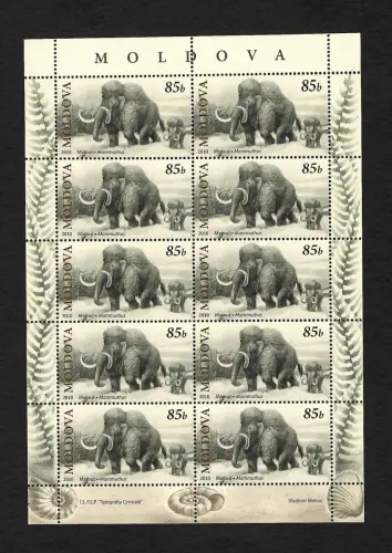Moldawien 2010: Mamut, Mammuthus, postfrisch