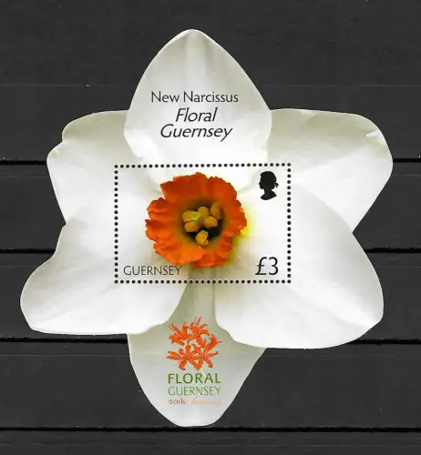 Guernsey: 20th Floral Festival, New Narcissus, Narzisse, postfrischer  Block
