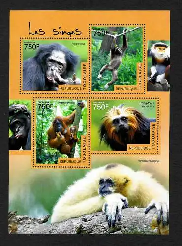 Togo 2014: Affen, Les Singes, mnh, **