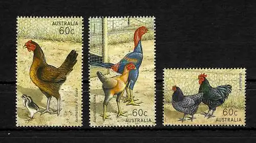 Australien: Geflügelzucht, postfrisch