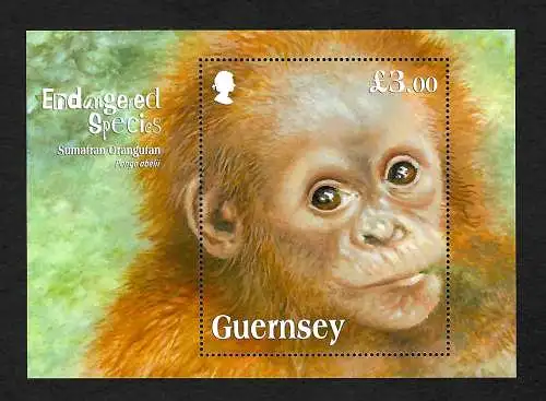 Guernsey: Endagered Spcies: Sumatran Orangutan, Block mnh, **