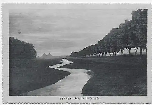 Ägypten: AK: Road to the Pyramids, 1913 to Frankfurt