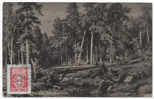 Litauen: Ansichtskarte Wald, Russland?, 1927 Rokiskis