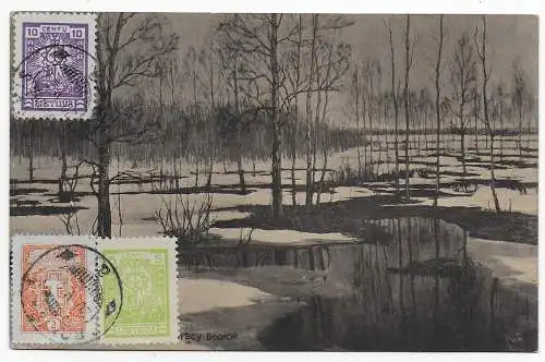 Litauen: Ansichtskarte Wald im Winter, Schnee, Rokiskis, 1927