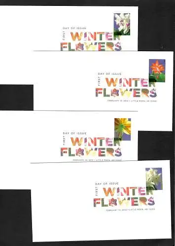 USA 2014: Winter Flowers, Winterblumen, 4x FDC